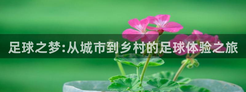 fh至尊是不是黑平台