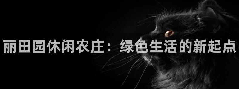 fh至尊是老凤凰平台吗