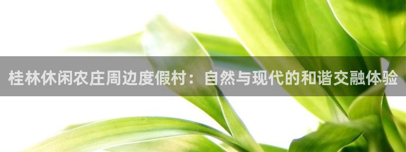 fh至尊平台怎么打不开了呢
