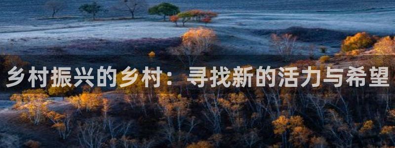 fh至尊平台APP