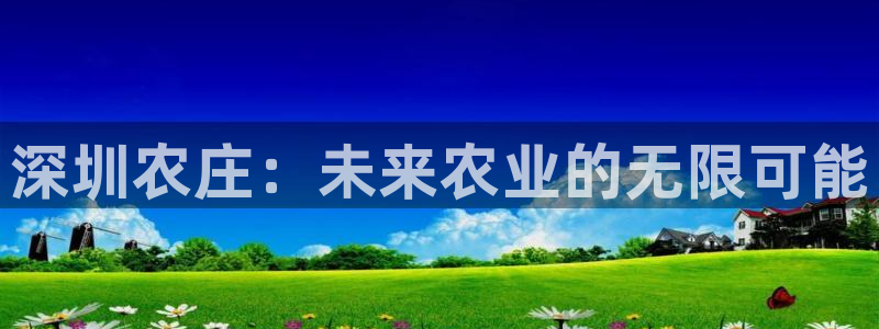 FH至尊是什么意思