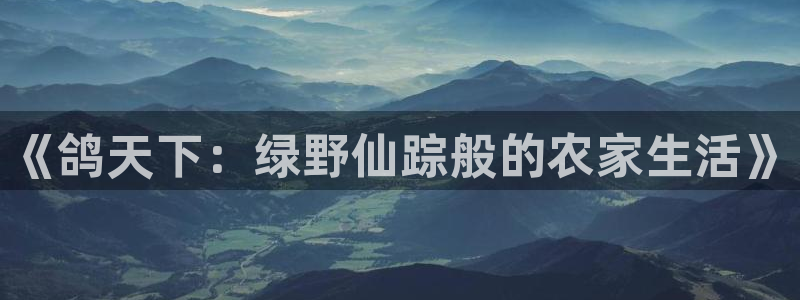凤凰FH至尊