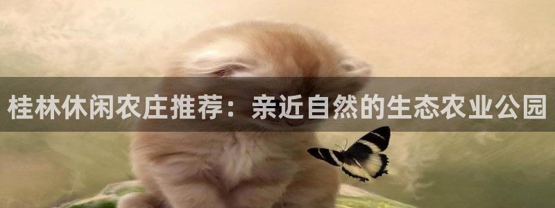 凤凰至尊fh凤凰版0a