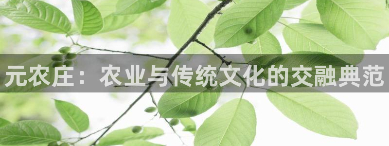 至尊FH