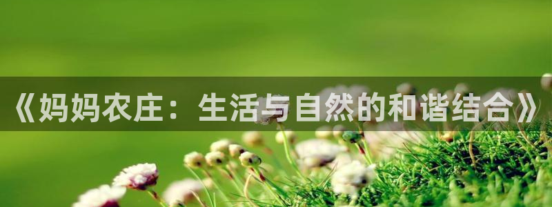 凤凰FH至尊