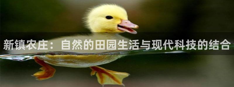 fh至尊怎么改密码