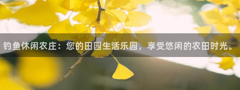 fh至尊黑不黑