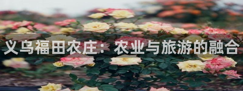 fh至尊是凤凰平台么