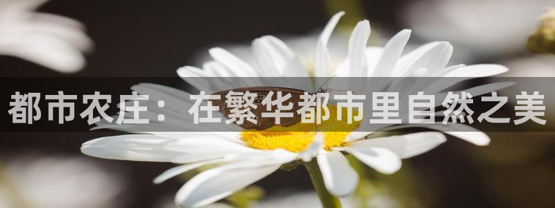 FH至尊平台
