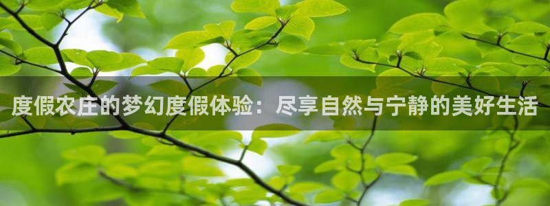 FH至尊是什么意思