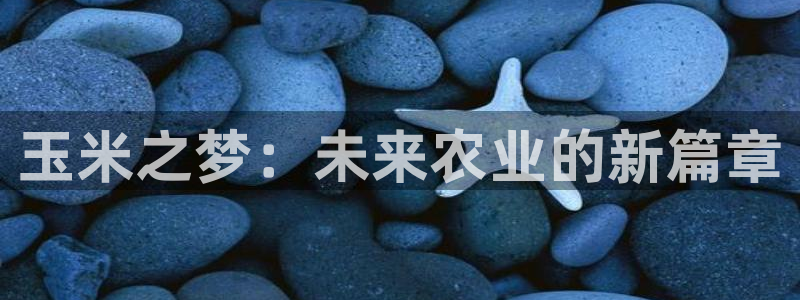 fh至尊官方网站