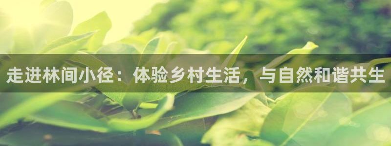 fh至尊平台APP