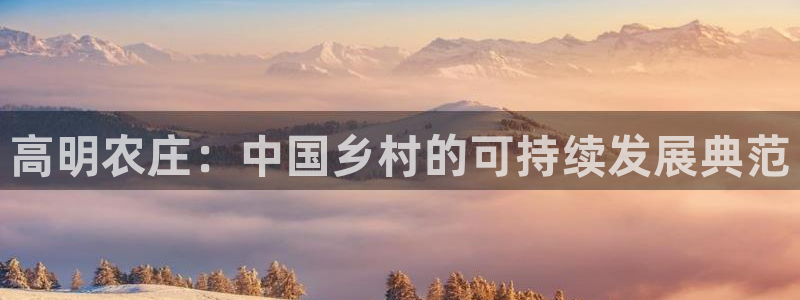 凤凰FH至尊