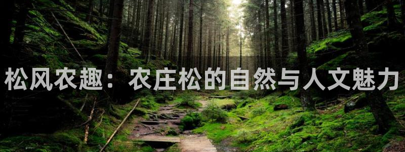 fh至尊平台安全密码忘记了
