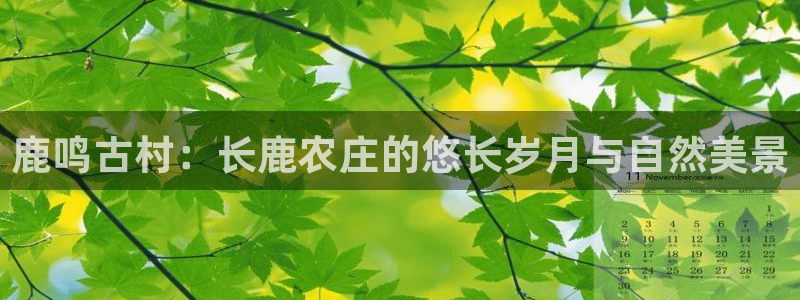 fh至尊是凤凰平台么