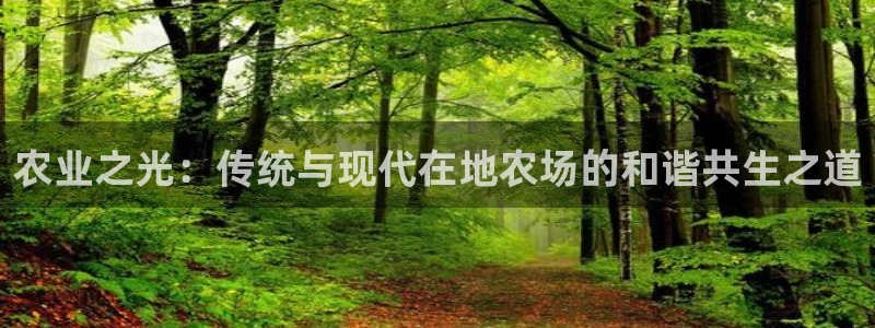 fh至尊黑铁