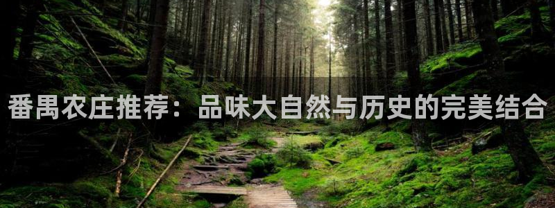 fh至尊在哪可以下载