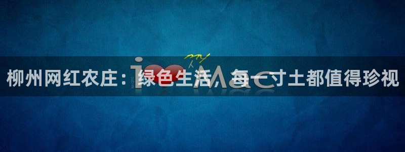 FH至尊隶属哪家公司