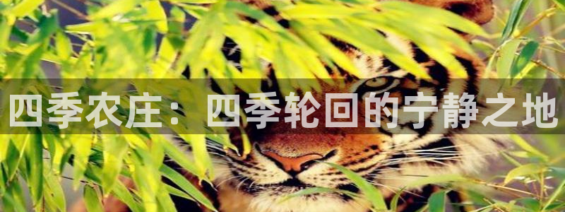FH至尊app