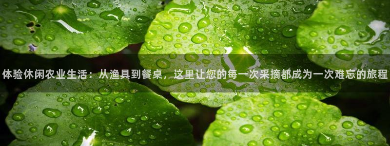fh至尊是黑台子吗