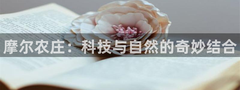 fh至尊是不是假的