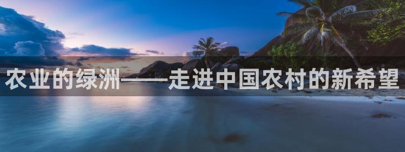 fh至尊多少年了