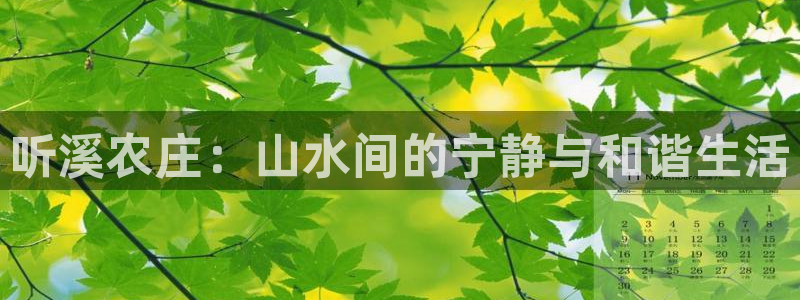 沃尔沃fh至尊旗舰版