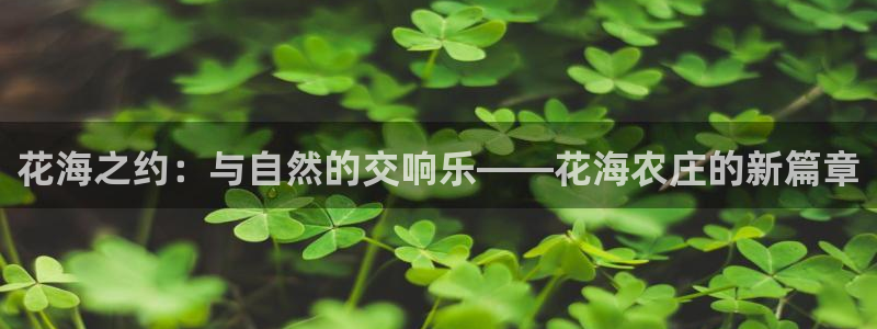FH至尊apk
