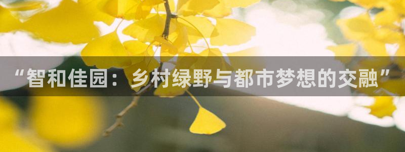 FH至尊公安