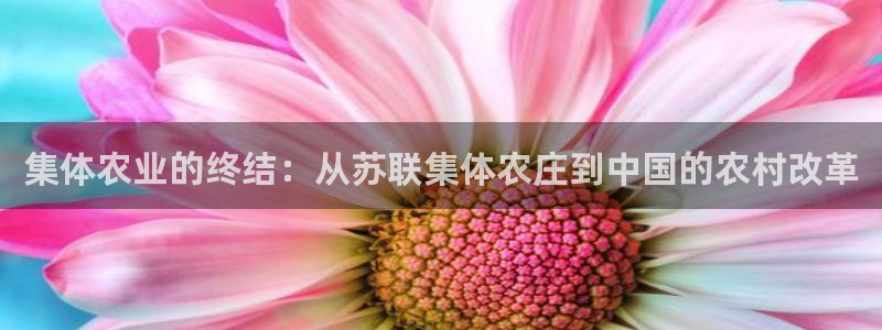 fh至尊游戏彩票