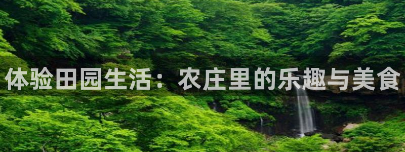 至尊FH下载