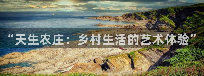 FH至尊平台怎样